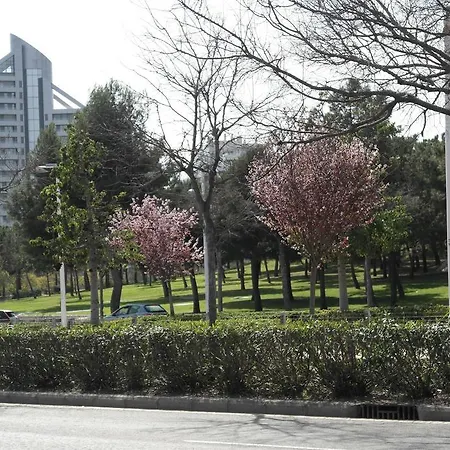 Apartamento Angel Alcazar 35 Apartment *